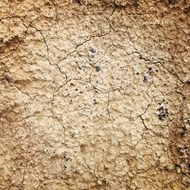 mud cracked dry drought nature