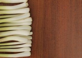onions herbs plant
