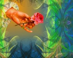 artistic image of scarlet rose in hand