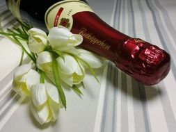 rotkäpptsen champagne and a bouquet of white tulips on Valentine's Day