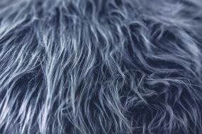 gray artificial fur