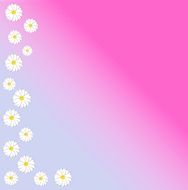 daisy flower daisies graphic