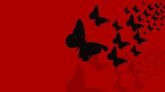 butterflies background black red