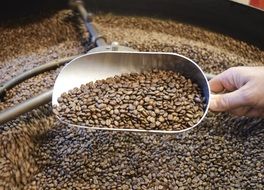 roasting of coffee beans