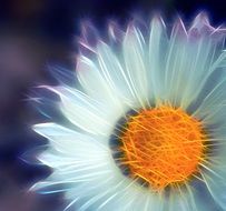background pattern abstract flower