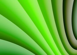volumetric green texture