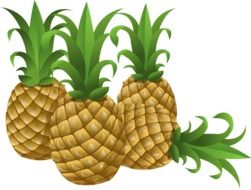 pineapples tropical fruits foods