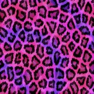 colorful leopard animal texture