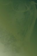 green olive drab smoke texture