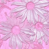 pink wallpaper with flowers as background