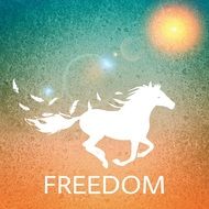 background sun horse freedom