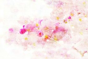 cherry blossom watercolor abstract background