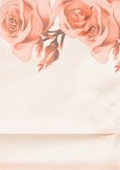 rose paper pink soft romantic
