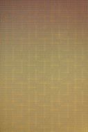 beige pattern of wallpaper