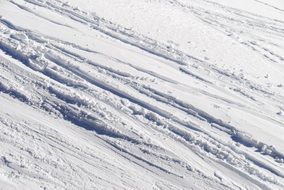 snow carves winter white season