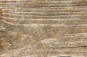 wood texture bar