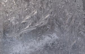 frost cold freezing ice pattern