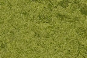 carpet green synthetic fiber