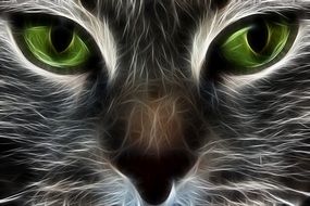 cat fractal animal eyes background