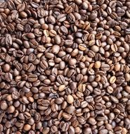 background with brown coffee beans