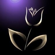 tulip gold background purple