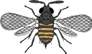 bee insect decorative bug pattern