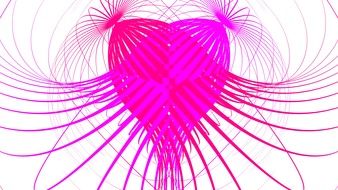pink abstract heart
