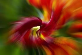 abstract tulip flower spring art