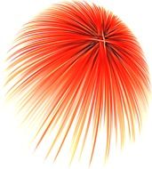orange abstract firework