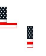 American flag on the letters l