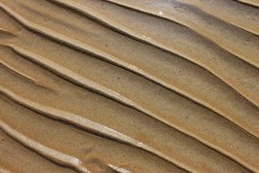 sand sea beach nature ocean texture