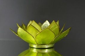 water lily glass green decoration