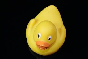 quietscheente toy duck fun