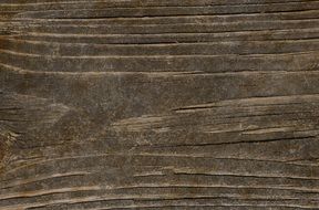 wooden bar texture