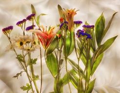 flowers floral plant blossom