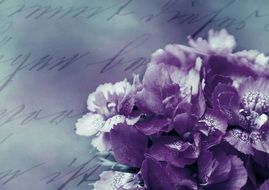 romantic background with purple flowers