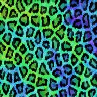 green and blue color texture leopard animal background