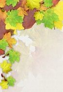 leaves colorful autumn stationery