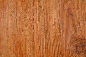 wood structure background grain