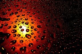 drops rain background seasons