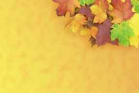 maple autumn emerge decoration