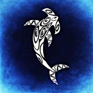 hammerhead shark fish dangerous