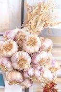 bunch of garlic