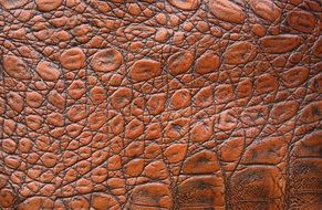 leather skin texture background