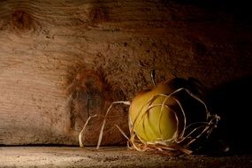 apple on the wood