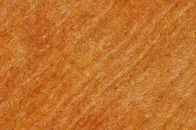 carpet brown wool fibers texture