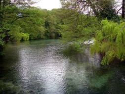 water grey ofelia lake trees