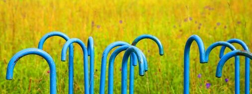 blue cane in the botanical garden in Ulm