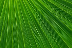 abstract background backgrounds