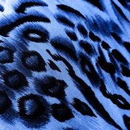 blue background with leopard pattern